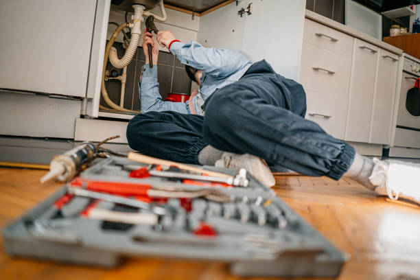 Best Shower Repair Services  in Soh Willard, UT